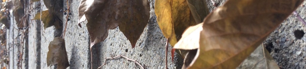 Northern Advent (poem)