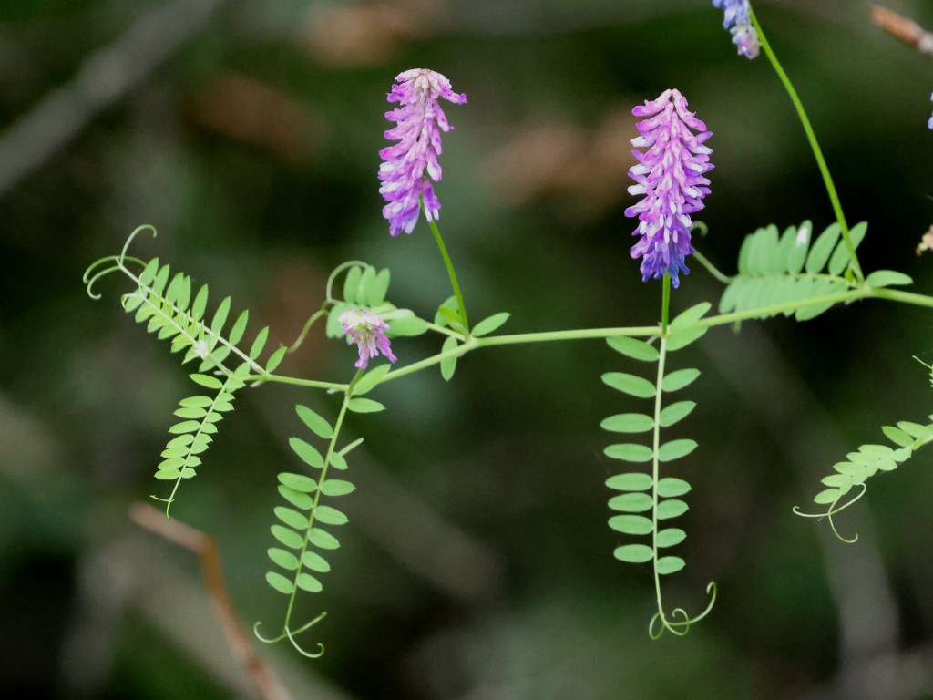 A few shots from&nbsp;summer…